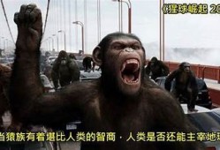 海角电影网: 探秘2023年最佳电影推荐