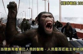 海角电影网: 探秘2023年最佳电影推荐