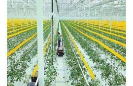 海角社区入口: AI技术助力未来生活新模式