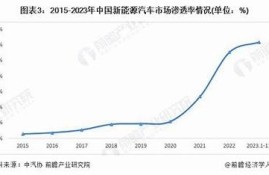 海角社区网站: 新能源汽车市场大热研究