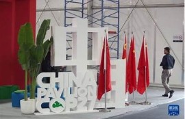 海角社区网站：全球气候峰会新进展！