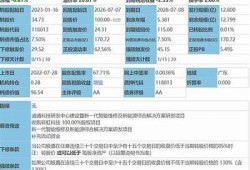 海角社区网站: 新能源车普及加速引关注