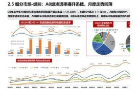 海角社区网站: 新能源车市场动态调查