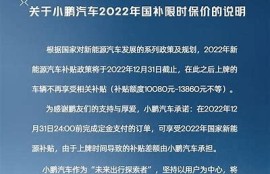 海角社区入口: 新能源车政策再升级