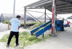 海角社区服务: 科技助力乡村振兴新模式