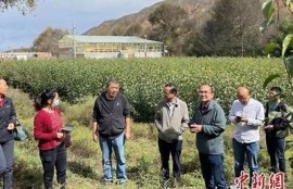 保持海角社区服务: 数字经济助力乡村振兴