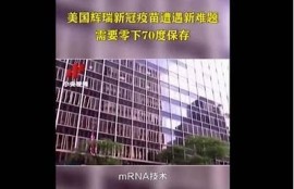 海角官网:新冠疫苗最新进展与结果研究  
海角官网:环保新政策引发广泛讨论  
海角官网:全球科技巨头财报解析  
海角官网:2023年世界杯最新赛况  
海角官网:人工智能对未来工作的影响  
