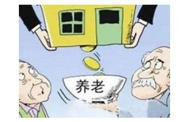 海角社区服务: 数字鸿沟中的互助新模式