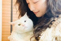 糖心vlog登录：探索秋季美妆新技巧！