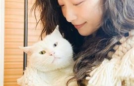 糖心vlog登录：探索秋季美妆新技巧！