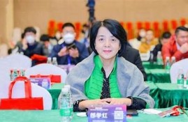 海角社区入口: 新能源汽车市场发展方向揭秘