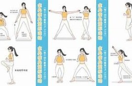 糖心官网: 教你如何轻松减脂塑形！