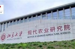 海角社区登录: 人工智能新进展与未来方向