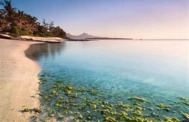 海角APP: 2023年度最佳旅行目的地推荐  
海角APP: 如何打造完美家庭露营体验  
海角APP: 最新国内旅游政策解读  
海角APP: 环保旅行的新走向与实践  
海角APP: 夏季最受欢迎的海滩活动指南  