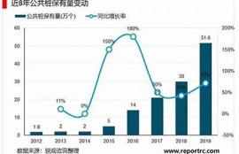 海角社区服务: 新能源汽车普及前景研究