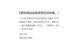 海角社区入口: 新能源汽车销量激增解析