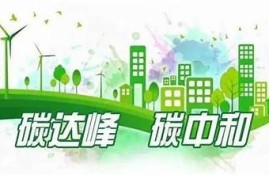 海角官网: AI技术引领未来方向  
海角官网: 碳中和目标再升级  
海角官网: 新能源车市场再爆发  
海角官网: 元宇宙时代的投资机遇  
海角官网: 硬件降价，游戏业复苏