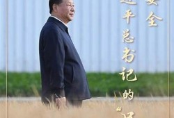 海角社区网站: 新粮食安全法实施影响解读