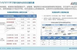 海角社区网站: 新能源汽车市场调查与动向