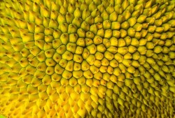 《战火重燃：2023年最热战争片推荐》