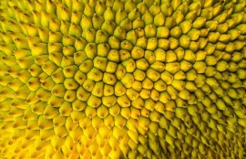 《战火重燃：2023年最热战争片推荐》