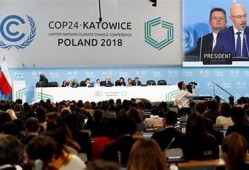 糖心视频: 全球气候峰会最新动态