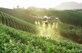 保持海角社区: AI新技术引领未来生活革新