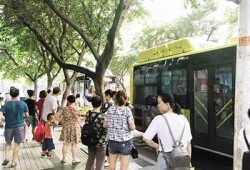 保持海角社区服务: 探索绿色生活新方式