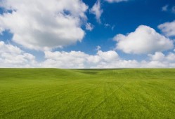 《超级英雄：最新影视热潮回顾》