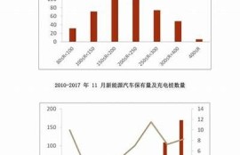 海角官网: 新能源汽车发展态势研究
