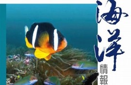 保持海角社区服务：支持的背后绿色出行，助力环保生活!