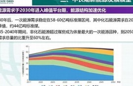 海角社区入口: 新能源汽车未来发展走向检视