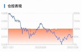 海角社区网站: 新能源车市场风云变幻