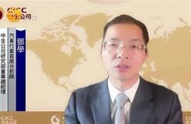 海角社区入口: 新能源汽车市场新动向