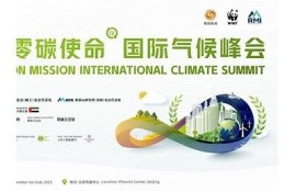 糖心视频: 2023年全球气候峰会回顾