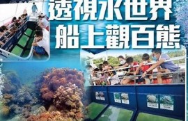 海角社区服务：推动绿色生活，保护海洋生态