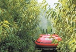 海角社区服务: 破解老龄化难题的创新举措！
