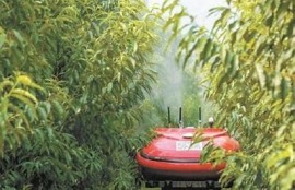 海角社区服务: 破解老龄化难题的创新举措！
