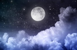 《当代影像：探索文艺电影的魅力与热点》