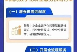 海角官网: 小型企业数字化转型新走向