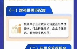海角官网: 小型企业数字化转型新走向