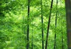 《日韩佳作：2023年必看热剧推荐》