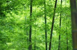 《日韩佳作：2023年必看热剧推荐》