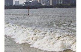 海角社区登录:钱塘江潮涌，全球瞩目！