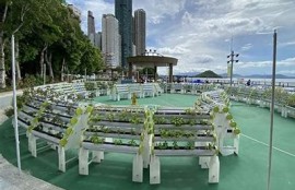 海角社区服务：推动绿色生活新理念