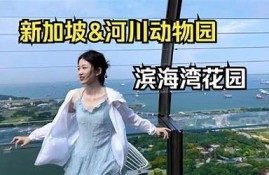 糖心vlog: 最新旅行攻略分享！