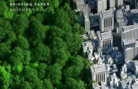 海角社区服务：应对气候变化的社区行动计划