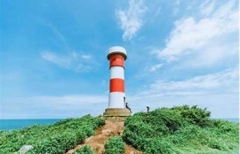 海角社区入口: 新能源车市场持续升温