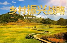 糖心视频: AI助力未来科技发展新动向