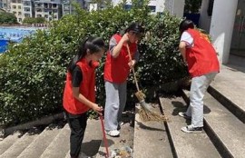 保持海角社区服务: 社区环保活动取得成功